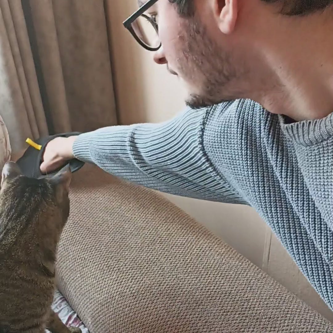 Video laden: 